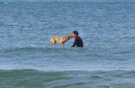Mango the surfing dog, Newquay, Cornwall, Britain - 14 Nov 2011