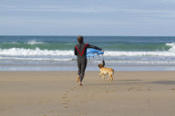 Mango the surfing dog, Newquay, Cornwall, Britain - 14 Nov 2011