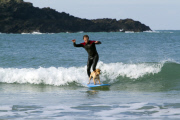 Mango the surfing dog, Newquay, Cornwall, Britain - 14 Nov 2011