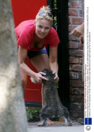 Katherine Heigl Reunited with Missing Dog, Los Angeles, America - 26 Jun 2008
