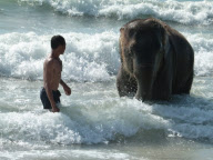 Jumbo the 4 Year Old Baby Elephant Swims in the Ocean on Mai Khao Beach in Phuket, Thailand - 09 Nov 2011