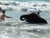 Jumbo the 4 Year Old Baby Elephant Swims in the Ocean on Mai Khao Beach in Phuket, Thailand - 09 Nov 2011