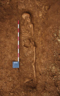 Couple discover remains of four Anglo Saxon bodies beneath their patio, Ratley, Warwickshire - 23 Nov 2011