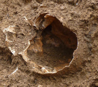 Couple discover remains of four Anglo Saxon bodies beneath their patio, Ratley, Warwickshire - 23 Nov 2011
