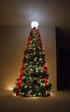 Drink can Christmas tree, Lafayette, Louisiana, America - 30 Nov 2011