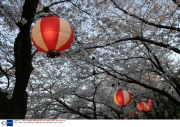 Japan - 2009