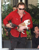 Mickey Rourke loving life as a star