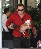 Mickey Rourke loving life as a star