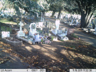 Schamlos: Ältere Frau stiehlt Blumen vom Grab eines Kindes auf dem Friedhof in Essex