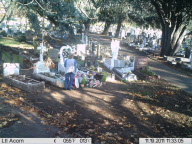 Schamlos: Ältere Frau stiehlt Blumen vom Grab eines Kindes auf dem Friedhof in Essex