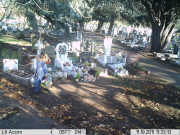 Schamlos: Ältere Frau stiehlt Blumen vom Grab eines Kindes auf dem Friedhof in Essex