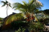 French Polynesia - Oct 2007