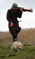 Dog being taken for a walk during windy weather, Upton Dyke, Norfolk Broads, Britain - 08 Dec 2011