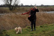 Dog being taken for a walk during windy weather, Upton Dyke, Norfolk Broads, Britain - 08 Dec 2011