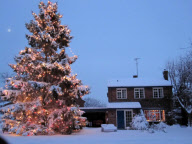Weihnachtsbaum von Avril und Christopher Rowlands