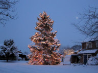Weihnachtsbaum von Avril und Christopher Rowlands