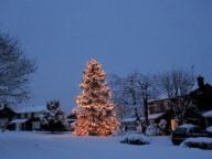 Weihnachtsbaum von Avril und Christopher Rowlands