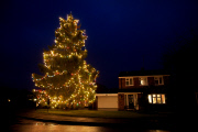 Weihnachtsbaum von Avril und Christopher Rowlands