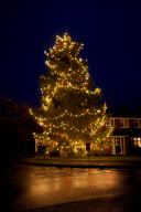Weihnachtsbaum von Avril und Christopher Rowlands