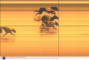 Amazing triple greyhound dead heat at at Romford Greyhound Stadium, Essex, Britain - 19 Jan 2011