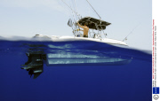 MARINE WILDLIFE