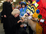 London International Horse Show, Olympia, London, Britain - 15 Dec 2011