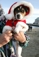 The Annual 5k Chase The Pudding Santa Dash along Weymouth Promenade and Beach, Weymouth, Dorset, Britain - 18 Dec 2011