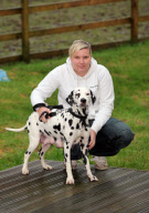 Dog gives birth to a litter of 15 puppies, Ammanford, Carmarthenshire, Wales - 19 Dec 2011