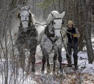 USA Woodcutting Bees for Those in Need