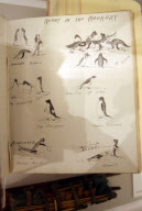 Ausstellung über die britische Polarexpedition 1910-13 am Scott Polar Research Institute in Cambridge