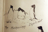 Ausstellung über die britische Polarexpedition 1910-13 am Scott Polar Research Institute in Cambridge