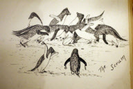 Ausstellung über die britische Polarexpedition 1910-13 am Scott Polar Research Institute in Cambridge