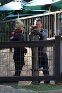 Gwen and Gavin take the boys to the Zoo on Christmas Eve