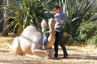 Gwen and Gavin take the boys to the Zoo on Christmas Eve