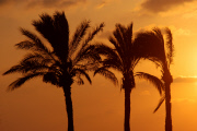 Israel - 2011