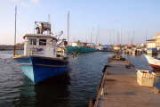 Israel - 2011