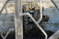 Das Grab von Johannes Heesters auf dem Münchner Nordfriedhof
