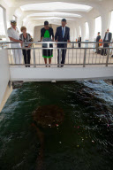 President Barack Obama and the First Family on holiday in Hawaii, America - 29 Dec 2011