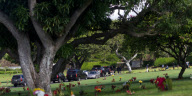 President Barack Obama and the First Family on holiday in Hawaii, America - 01 Jan 2012