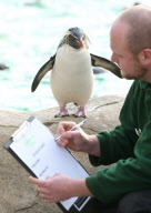 Inventur im Zoo von London