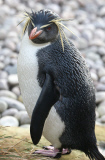 Inventur im Zoo von London