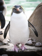 Inventur im Zoo von London