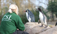 Inventur im Zoo von London