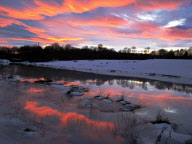 Wildfowl and Wetlands Trust (WWT) photography contest, Britain - 04 Jan 2012