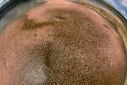 Wie John_Downer anderthalbmillionen Flamingos von oben fotografiert
