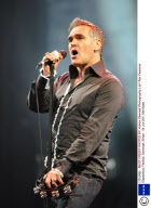 Compilation - Rock Stars reborn