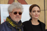 American Cinematheque's Golden Globe Foreign Language Series Panel , Los Angeles, America - 14 Jan 2012