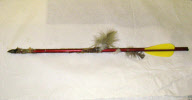 Canada goose survives after being shot with crossbow bolt, West Midlands, Britain - 07 Jan 2012