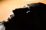 Rare Joseph Stalin bronze death mask cast sells for GBP 3,600 at auction, Shropshire, Britain - 17 Dec 2011