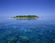The Maldives Indian